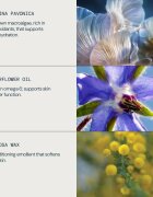Elemis Pro-Collagen Marine Oil protivráskový pleťový olej 15 ml