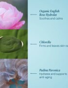 Elemis Pro-Collagen Rose Marine Cream hydratační gelový krém pro zpevnění pleti 30 ml