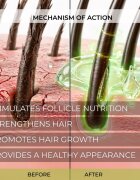 Elfa Pharm Intensive Cosmetic Complex Of 7 Oils 7in1 Stimulating Serum regenerační sérum proti vypadávání vlasů 100 ml