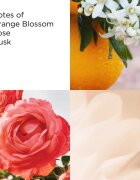 Elizabeth Arden Sunflowers toaletní voda pro ženy 100 ml