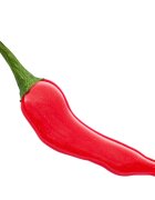 essence Chili Bomb lesk na rty pro větší objem 10 ml