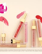 Eveline Cosmetics Celebrity Lips dlouhotrvající matná tekutá rtěnka odstín 04C 4 ml