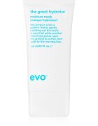 EVO Hydrate The Great Hydrator hydratační maska pro lesk suchých a křehkých vlasů 150 ml