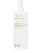 EVO Style Salty Dog slaný sprej na vlasy 200 ml