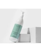 FarmaVita Amethyste Advance Divalent zklidňující šampon na suché konečky vlasů 1000 ml