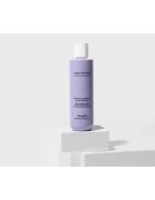 FarmaVita Amethyste Blonde fialový kondicionér neutralizující žluté tóny 250 ml