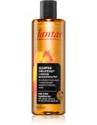 Farmona Jantar Amber Essence šampon pro poškozené vlasy 300 ml