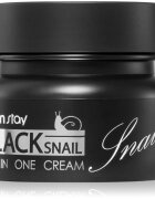 Farmstay Black Snail All-In One výživný pleťový krém s hlemýždím extraktem 100 ml