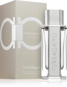Ferragamo Bright Leather toaletní voda pro muže 100 ml