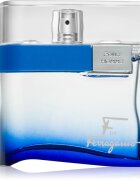 Ferragamo F by Free Time toaletní voda pro muže 100 ml