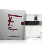 Ferragamo F by toaletní voda pro muže 100 ml