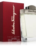 Ferragamo Pour Homme toaletní voda pro muže 100 ml