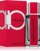 Ferragamo Red Leather parfémovaná voda pro muže 100 ml