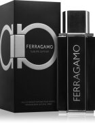 Ferragamo Sublime Leather parfémovaná voda pro muže 100 ml
