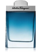 Ferragamo Subtil Pour Homme toaletní voda pro muže 100 ml
