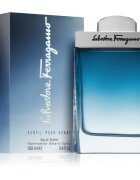 Ferragamo Subtil Pour Homme toaletní voda pro muže 100 ml