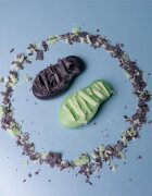 Foamie Too Coal To Be True čisticí syndet na obličej pro normální až smíšenou pleť 60 g