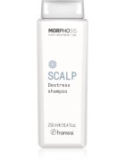 Framesi Morphosis Scalp zklidňující šampon pro citlivou pokožku hlavy 250 ml
