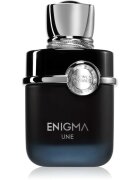 French Avenue Enigma Une parfémovaná voda pro muže 100 ml