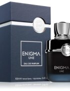 French Avenue Enigma Une parfémovaná voda pro muže 100 ml