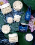 fresh Lotus Youth Preserve Dream Cream noční krém proti projevům stárnutí pleti 50 ml