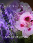 Friendly Soap Natural Shampoo Bar Lavender & Geranium přírodní mýdlo na vlasy 7x95 g