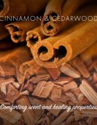Friendly Soap Natural Soap Cinnamon přírodní mýdlo 7x95 g