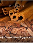 Friendly Soap Natural Soap Cinnamon přírodní mýdlo 95 g