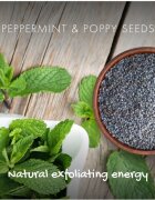 Friendly Soap Natural Soap Peppermint & Poppy Seeds přírodní mýdlo 95 g