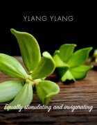 Friendly Soap Natural Soap Ylang Ylang přírodní mýdlo 7x95 g