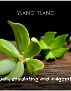 Friendly Soap Natural Soap Ylang Ylang přírodní mýdlo 95 g