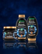 Garnier Botanic Therapy Magnetic Charcoal šampon pro mastnou vlasovou pokožku a suché konečky 400 ml