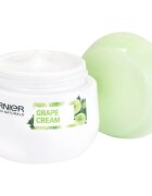 Garnier Botanical hydratační krém pro normální až smíšenou pleť 50 ml