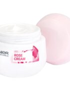 Garnier Botanical hydratační krém pro suchou až citlivou pleť 50 ml