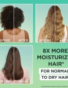 Garnier Fructis Aloe Vera Hair Food hydratační šampon pro normální až suché vlasy 350 ml