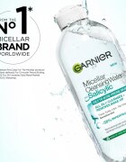 Garnier Salicylic Micellar Cleansing Water micelární čisticí voda s kyselinou salicylovou 400 ml
