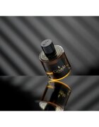 Gisada Ambassador parfémovaná voda pro muže 100 ml