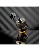 Gisada Ambassador parfémovaná voda pro muže 50 ml