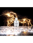 Gisada Titanium parfémovaná voda pro muže 50 ml
