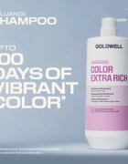 Goldwell Dualsenses Color Extra Rich Brilliance Shampoo šampon pro zářivou barvu vlasů 1000 ml