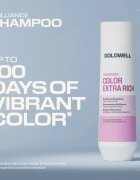Goldwell Dualsenses Color Extra Rich Brilliance Shampoo šampon pro zářivou barvu vlasů 250 ml