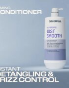 Goldwell Dualsenses Just Smooth Taming Conditioner uhlazující kondicionér 1000 ml