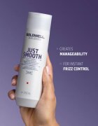 Goldwell Dualsenses Just Smooth uhlazující šampon pro nepoddajné vlasy 250 ml