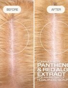 Goldwell Dualsenses Scalp Specialist Rebalance & Hydrate Fluid hydratační fluid pro obnovu pokožky hlavy 150 ml
