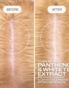 Goldwell Dualsenses Scalp Specialist Sensitive Foam Shampoo pěnový šampon pro citlivou pokožku hlavy 250 ml