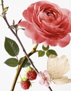 GOUTAL Rose Pompon toaletní voda pro ženy 100 ml