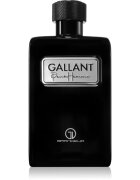 Grandeur Gallant parfémovaná voda pro muže 100 ml