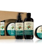 Green Pharmacy Green coffee & Ginger Oil SET dárková sada
