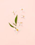 Gucci Bloom toaletní voda pro ženy 30 ml