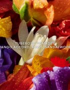 GUERLAIN Aqua Allegoria Florabloom Forte dárková sada limitovaná edice pro ženy 1 ks